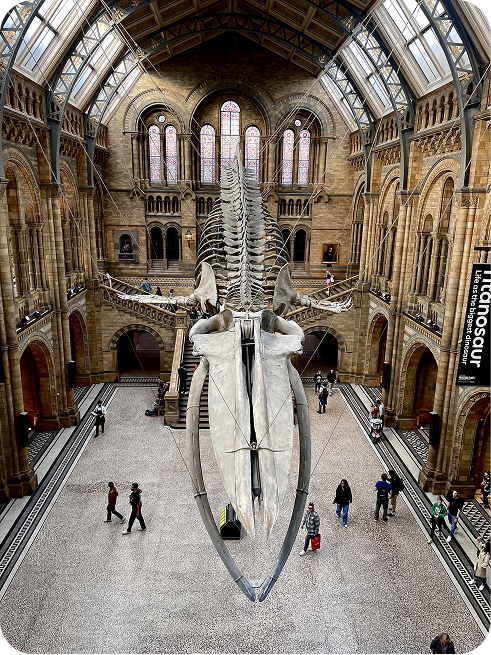 museum