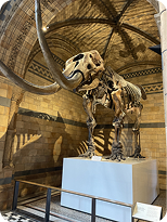 museum